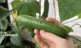 免费吃瓜 每日更新,每日新鲜资讯，尽在掌握！